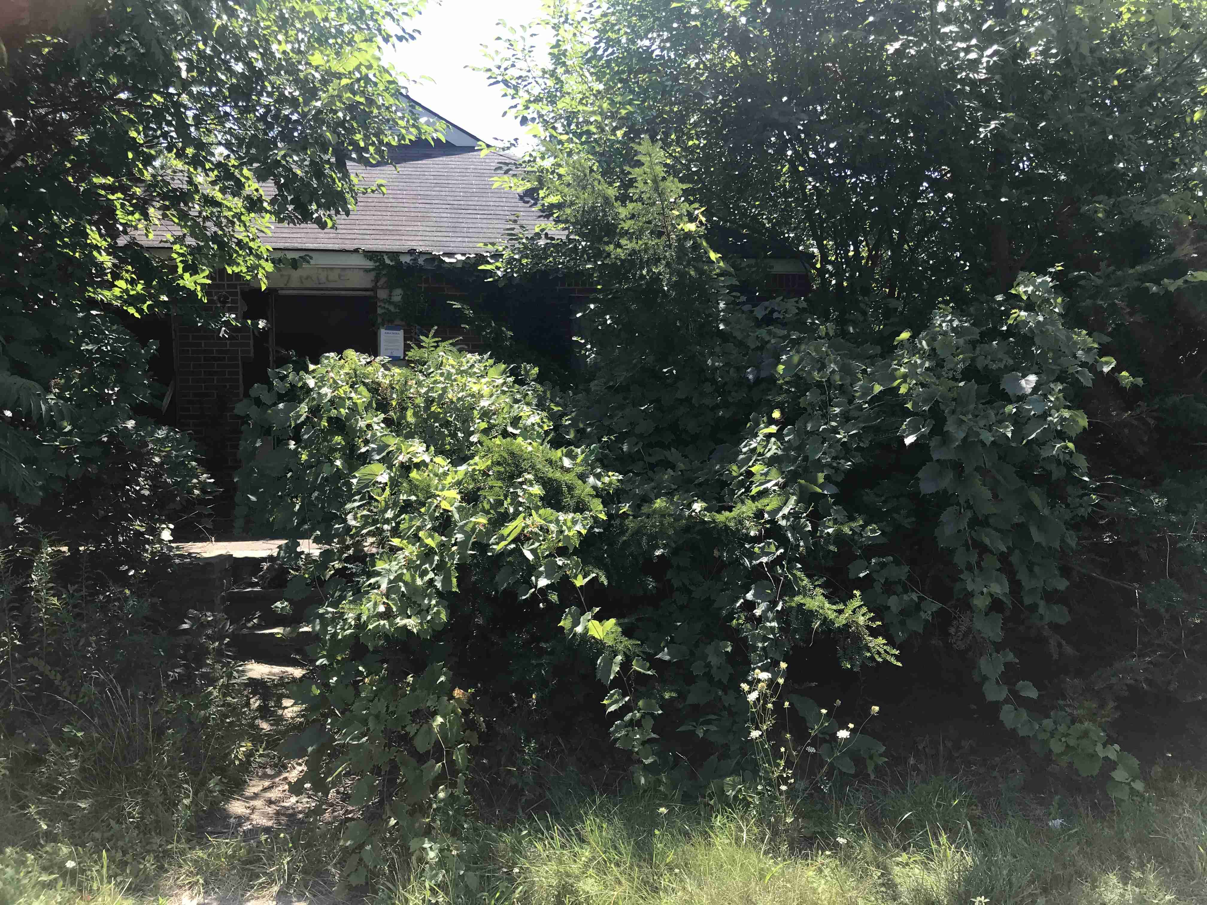 Photo Aug 21, 1 12 14 PM.jpg